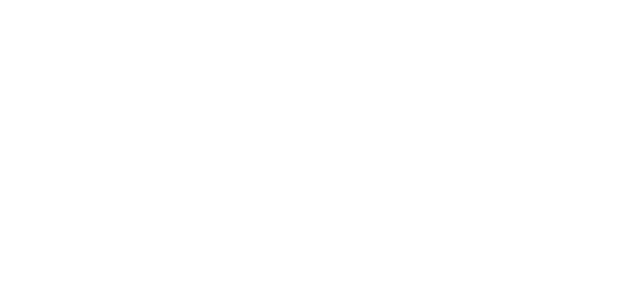 CERT-IN Seal